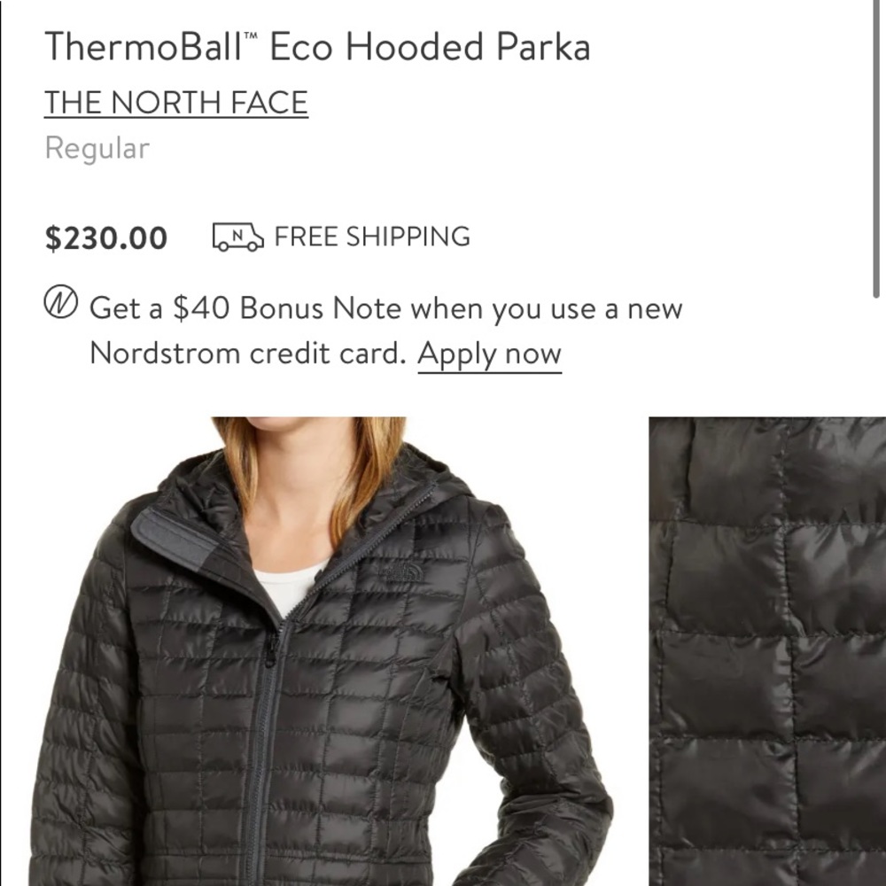 Black Thermo ball echo hooded parka north face